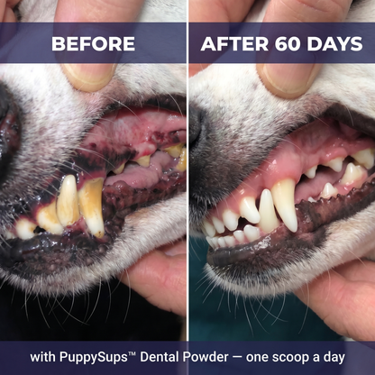 PuppySups™ Dental Supplement