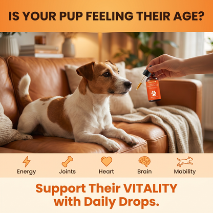 PuppySups Vitality Supplement Drops
