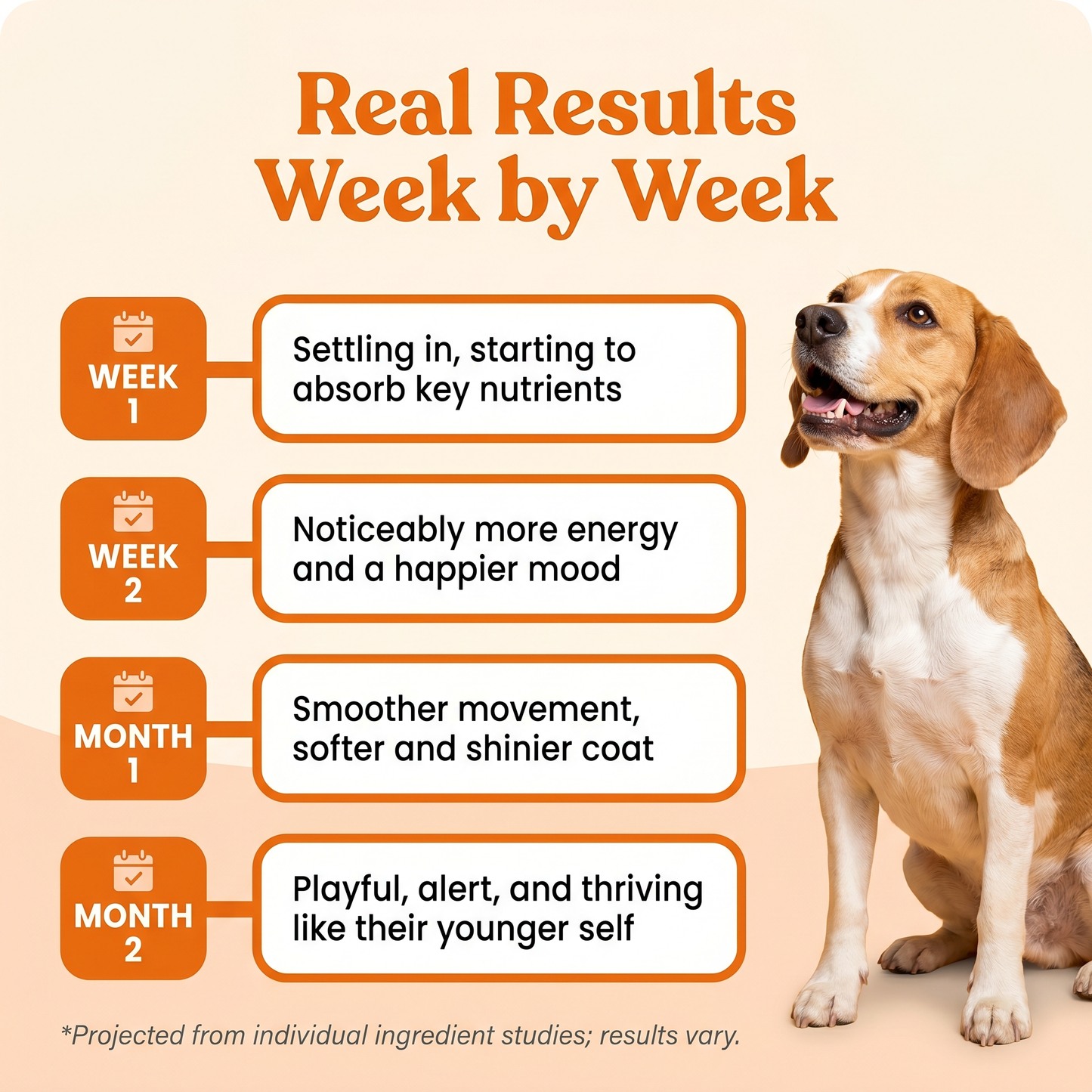 PuppySups Vitality Supplement Drops