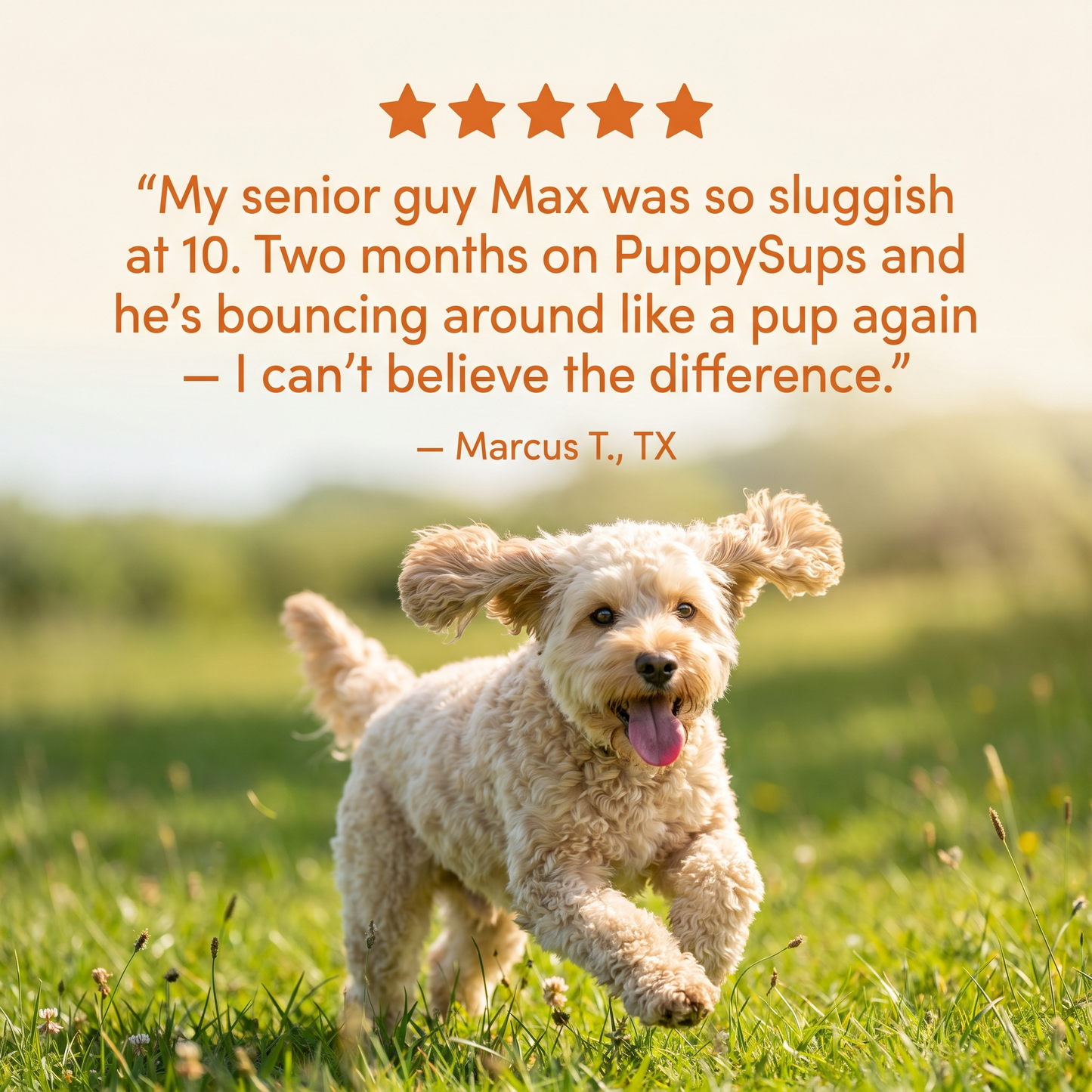PuppySups Vitality Supplement Drops
