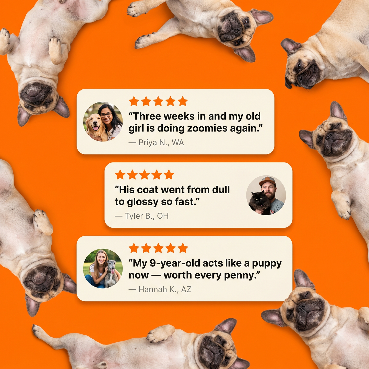 PuppySups Vitality Supplement Drops
